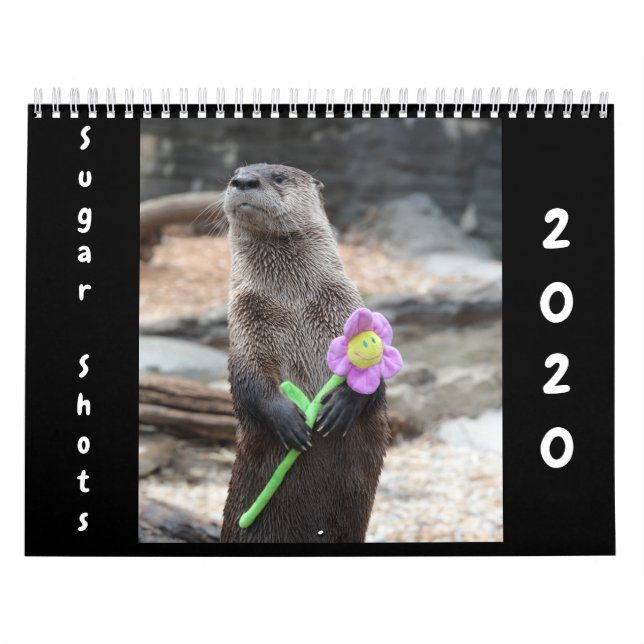 Sockerstötar 2020-kalendern kalender (Omslag)