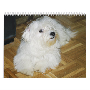 Sockervadd Kalender