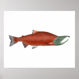 Sockeye Salmon - Kronfas Poster