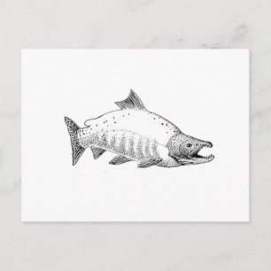 Sockeye Salmon Line Art Vykort
