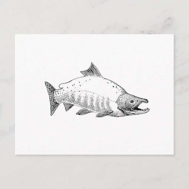 Sockeye Salmon Line Art Vykort (Framsida)