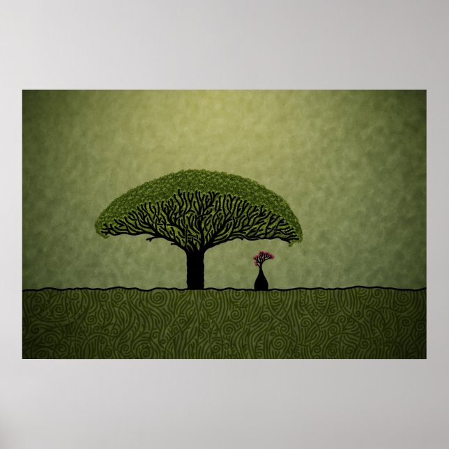 Socotra Poster (Framsidan)