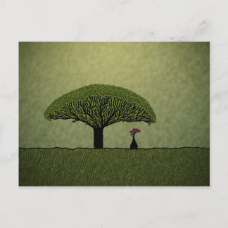 Socotra Vykort