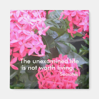 Socrates Motiv citattecken, magnet