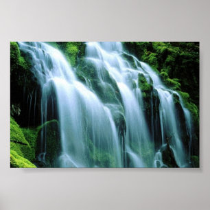 Sodden Moss, Proxy Falls Poster