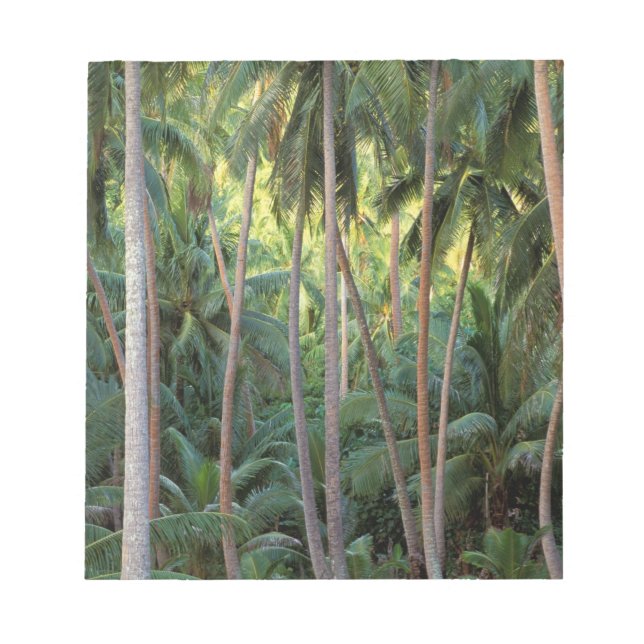 Söderhavet, Franska Polynesien, Bora Bora. Anteckningsblock (Framsida)