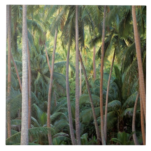 Söderhavet, Franska Polynesien, Bora Bora. Kakelplatta (Framsidan)