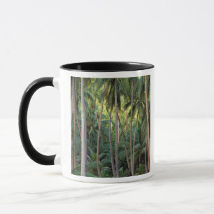 Söderhavet, Franska Polynesien, Bora Bora. Mugg