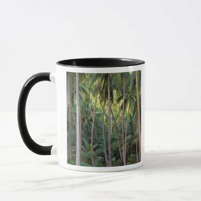 Söderhavet, Franska Polynesien, Bora Bora. Mugg (Vänster)