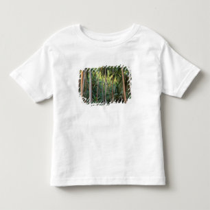 Söderhavet, Franska Polynesien, Bora Bora. T-shirt