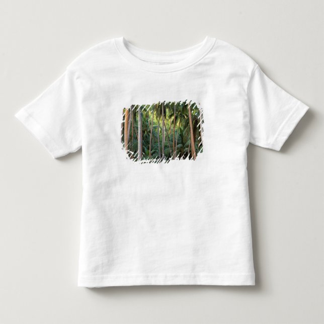 Söderhavet, Franska Polynesien, Bora Bora. T-shirt (Framsida)