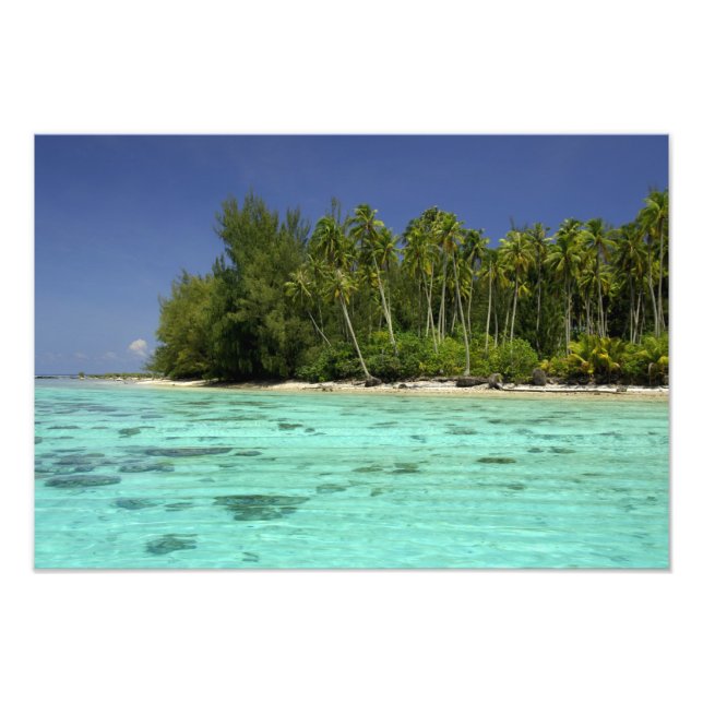 Söderhavet, Franska Polynesien, Moorea 2 Fototryck (Framsidan)