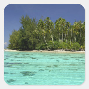 Söderhavet, Franska Polynesien, Moorea 2 Fyrkantigt Klistermärke