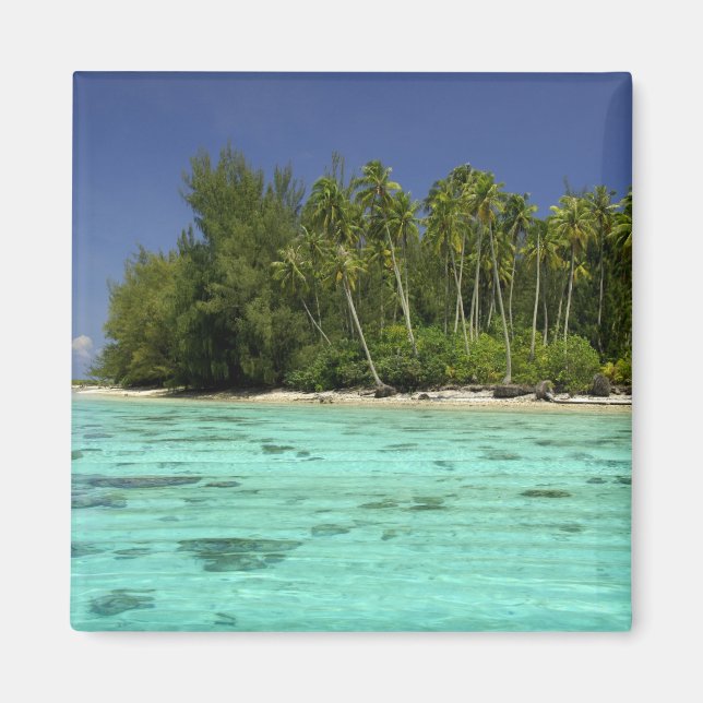 Söderhavet, Franska Polynesien, Moorea 2 Magnet (Framsidan)