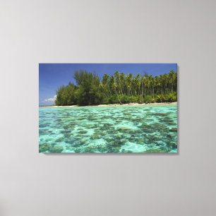 Söderhavet, Franska Polynesien, Moorea 3 Canvastryck