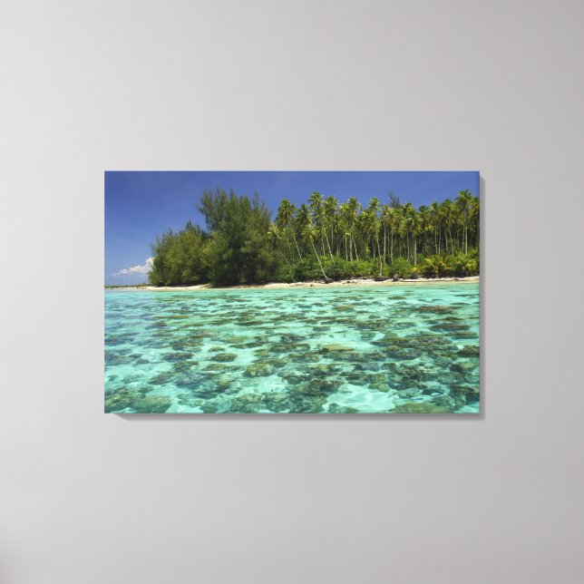 Söderhavet, Franska Polynesien, Moorea 3 Canvastryck (Framsida)