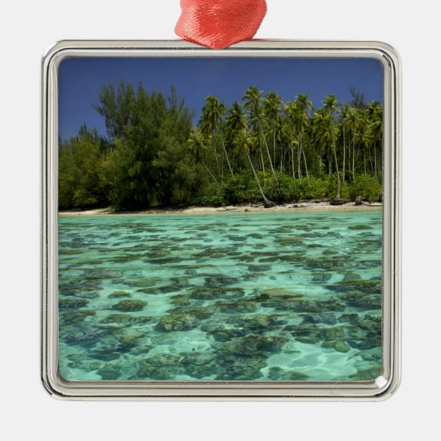Söderhavet, Franska Polynesien, Moorea 3 Julgransprydnad Metall (Framsidan)