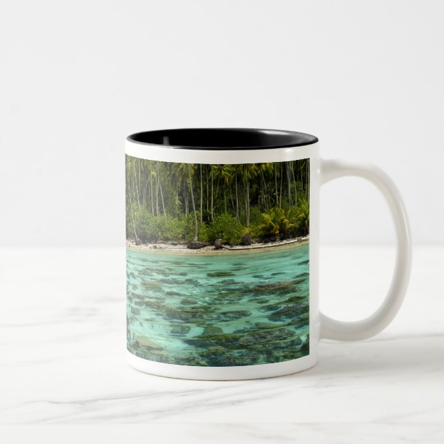 Söderhavet, Franska Polynesien, Moorea 3 Två-Tonad Mugg (Höger)