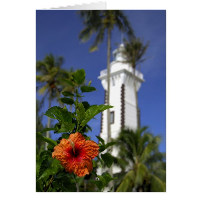 Söderhavet, Franska Polynesien, Tahiti. Hibiskus Hälsningskort (Framsidan)
