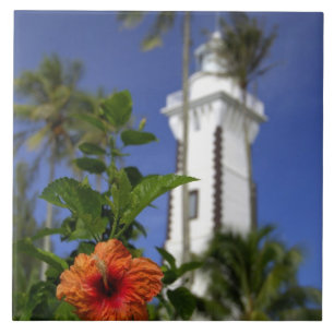 Söderhavet, Franska Polynesien, Tahiti. Hibiskus Kakelplatta
