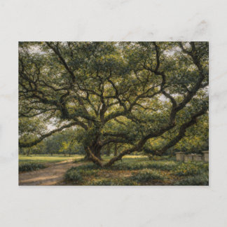 Söderns livsträd | Live Oak Art | vykort
