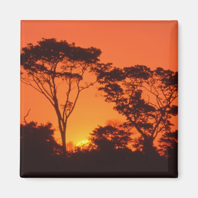 Södra Afrikan. Afrikansk solnedgång. Magnet (Framsidan)