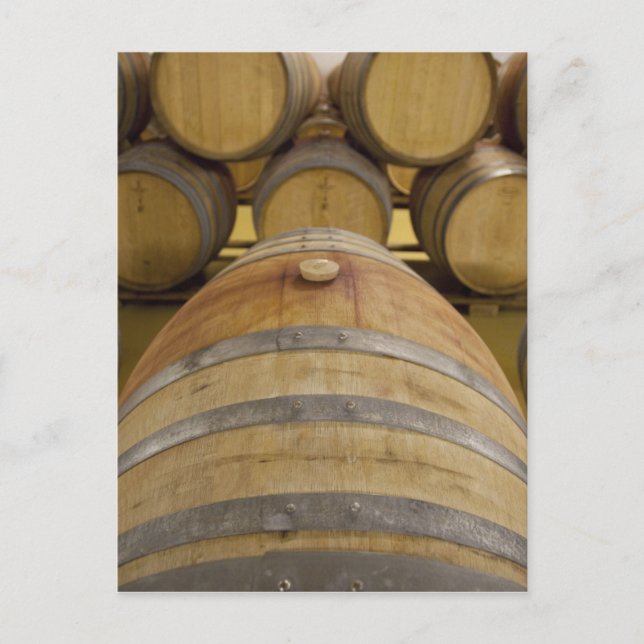 Södra Afrikan, Kapstaden. Stellenbosch vin, Vykort (Framsida)