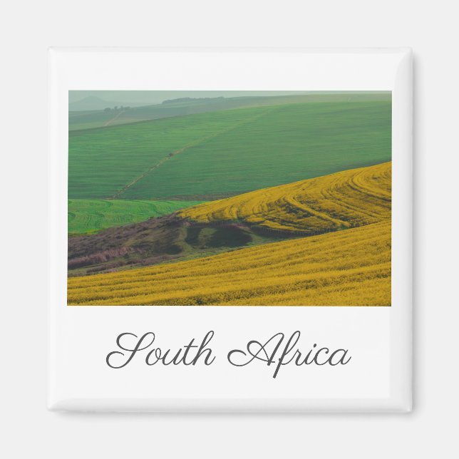 Södra Afrikan Landsbygdens landskap Canola Fält Magnet (Framsidan)
