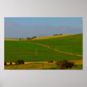 Södra Afrikan Landsbygdens landskap Canola Fält Po Poster