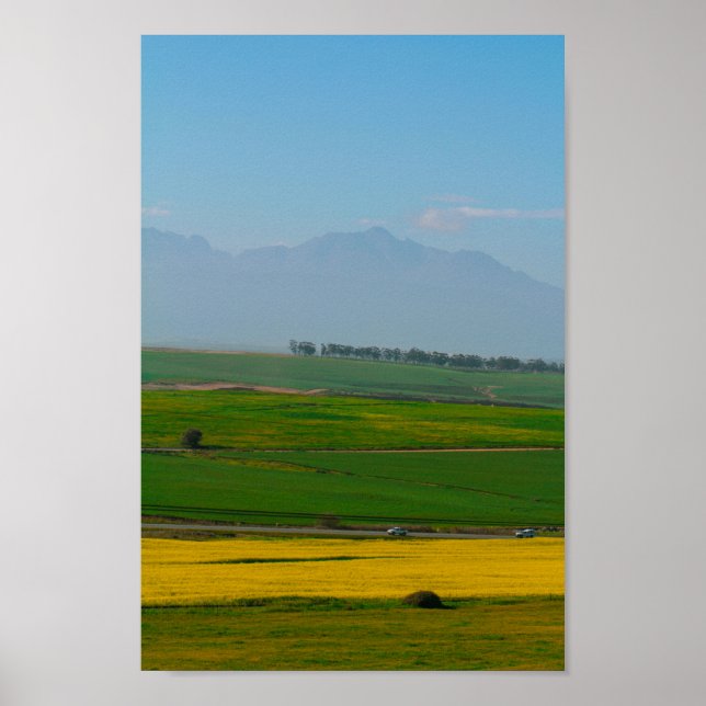 Södra Afrikan Landsbygdslandskap Canola Fält N7 Poster (Framsidan)