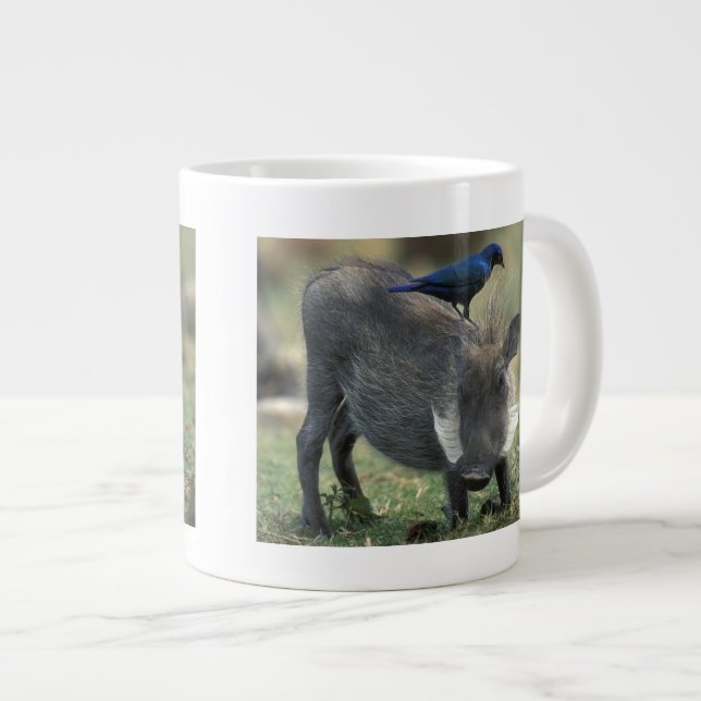 Södra Afrikan, Pilanesburg GR, Warthog Jumbo Mugg (Framsida höger)