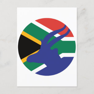Södra Afrikan Springbok Antelope Sydafrika Vykort
