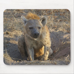 Södra - afrikansk Hyena Musmatta