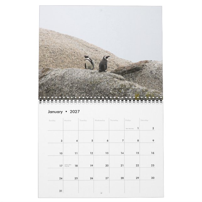Södra - afrikansk Safarikalender Kalender (Jan 2027)