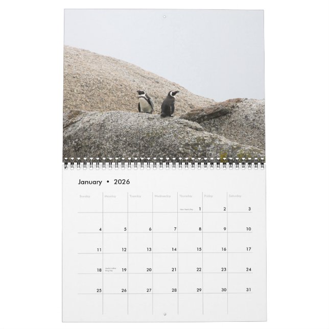 Södra - afrikansk Safarikalender Kalender (Jan 2026)