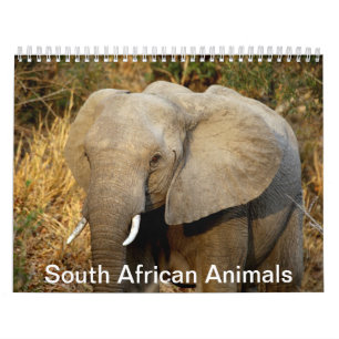 Södra - afrikanska djur kalender