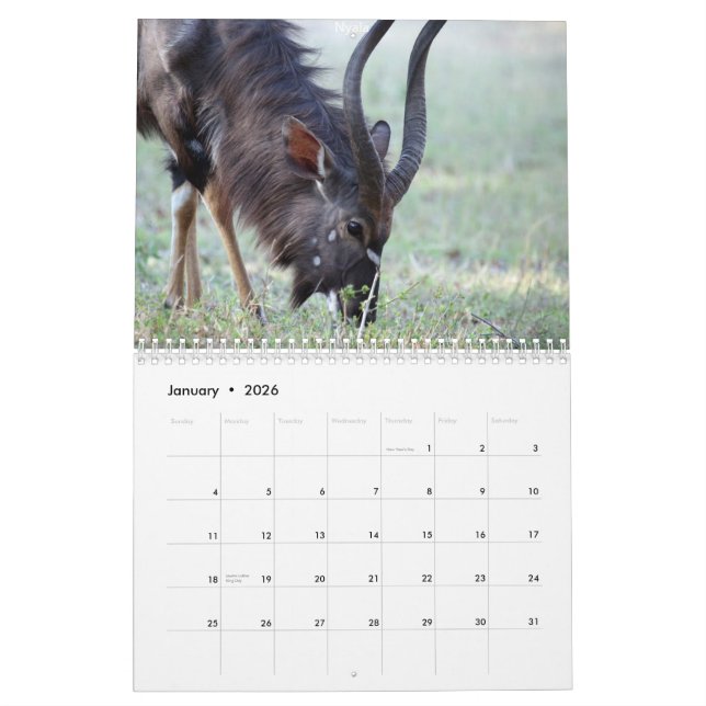 Södra - afrikanska djur kalender (Jan 2026)