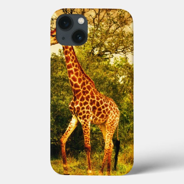 Södra - afrikanska giraff (Baksida)
