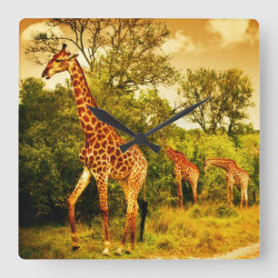 Södra - afrikanska giraff fyrkantig klocka