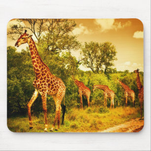 Södra - afrikanska giraff musmatta