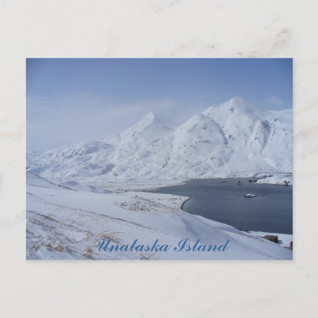 Södra änden av kapten's Bay, Unalaska Island Vykort (Framsida)
