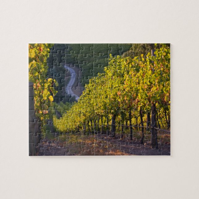 Södra Australien, Adelaide Hills, Summertown. 2 Pussel (Horisontell)