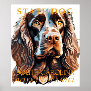 Södra Carolina Territory Hund Boykin Spanel Poster