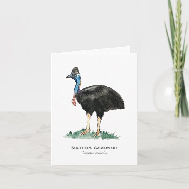 Södra Cassowary-mappade anteckningskort (Framsida)