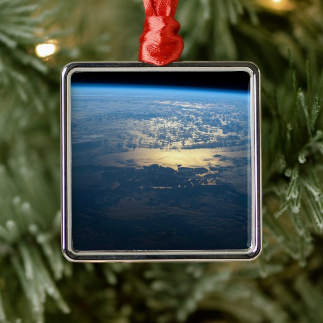 Södra Chiles nationalpark Laguna San Rafael. Julgransprydnad Metall (Träd)