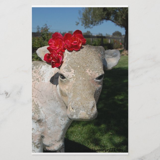 Södra Cow (Framsida)