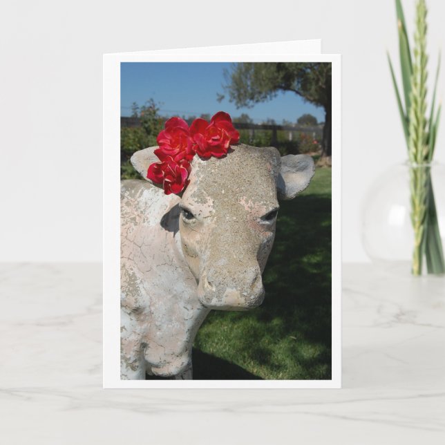 Södra Cow Kort (Framsida)