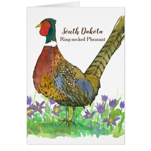 Södra Dakota Ring Necked Pheasant Blank Hälsningskort (Framsidan)