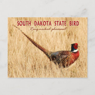 Södra Dakota State Bird: Ring-hankasant Vykort