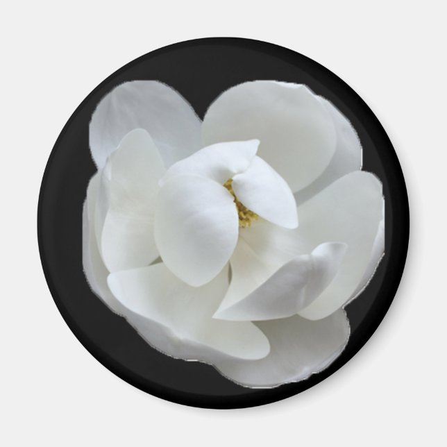 Södra Dam Magnet (Framsidan)